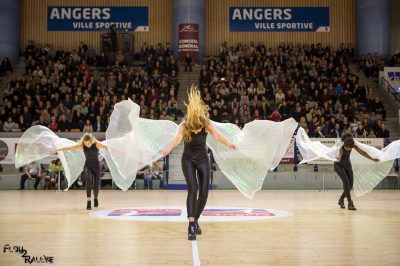 Un nouveau tableau avec des ailes d’Isis !
